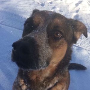 Meet your Posher, Juliana